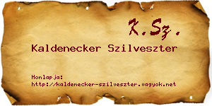 Kaldenecker Szilveszter névjegykártya