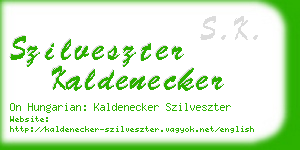 szilveszter kaldenecker business card